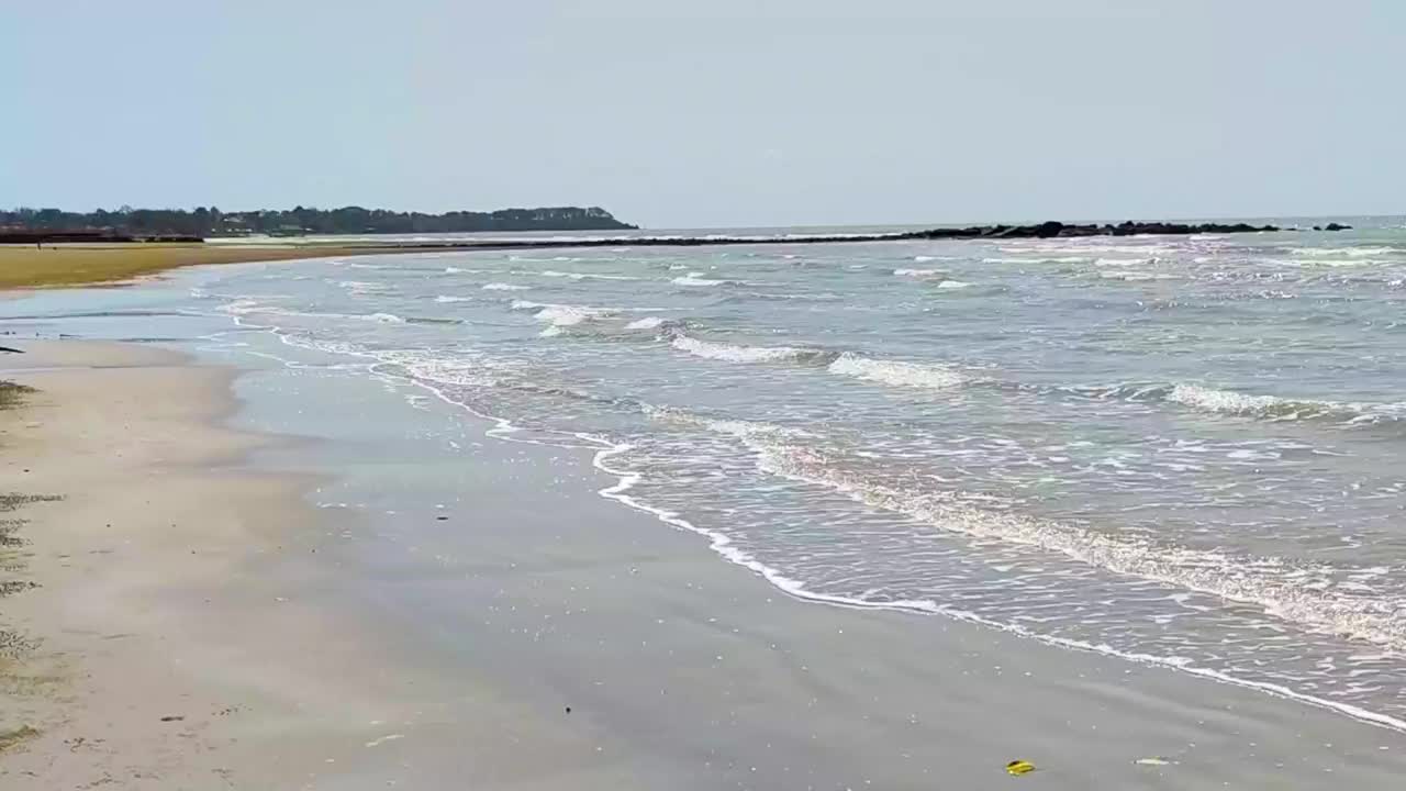 海滩与平静的海浪，岩石和树木的背景视频下载