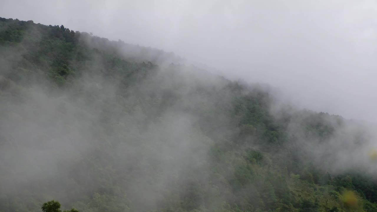 在雾天的绿化雨林山的景观视频素材