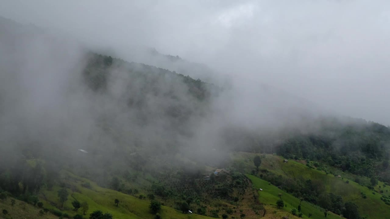 在雾天的绿化雨林山的景观视频素材