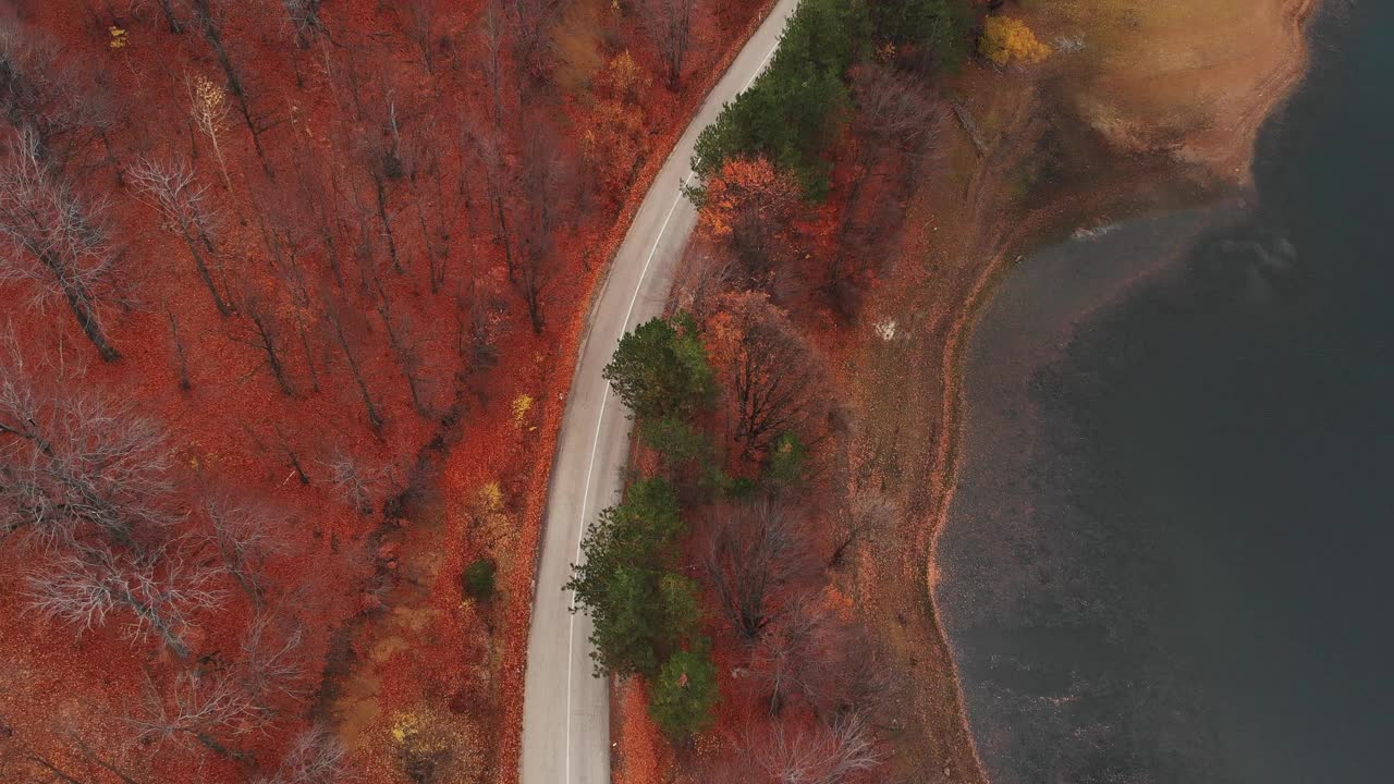 无人机拍摄的秋天树叶和山路视频素材