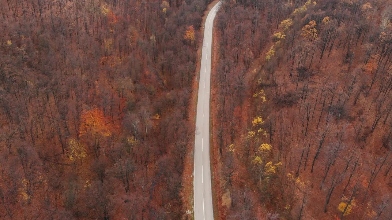 无人机拍摄的秋天树叶和山路视频素材