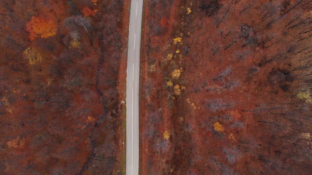 无人机拍摄的秋天树叶和山路视频素材