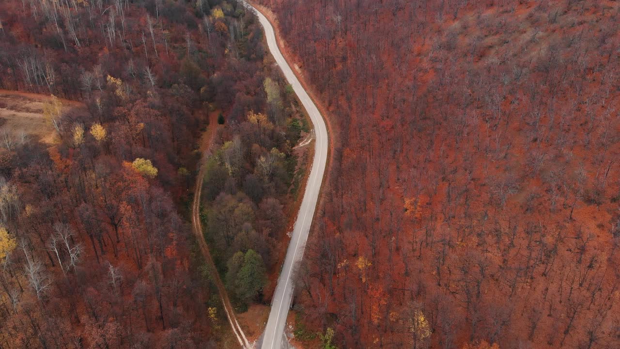 无人机拍摄的秋天树叶和山路视频素材