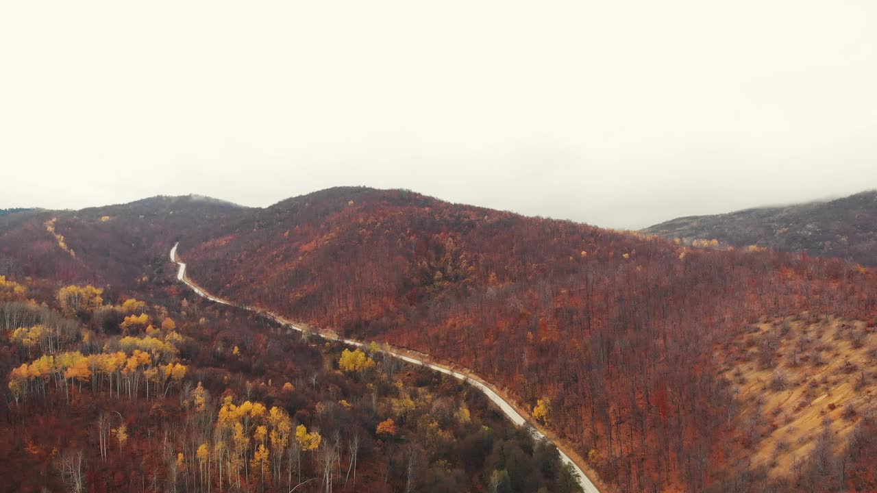 无人机拍摄的秋天树叶和山路视频素材