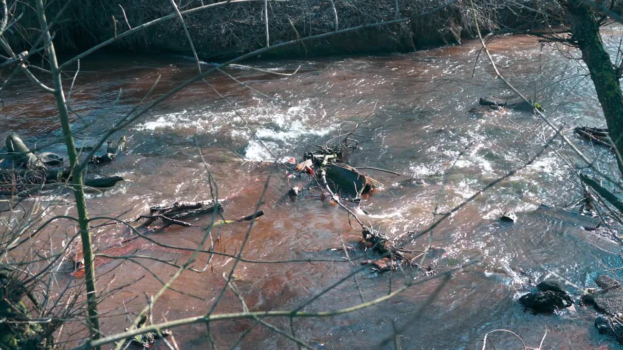 山河在森林附近流淌。湍急的山河视频素材