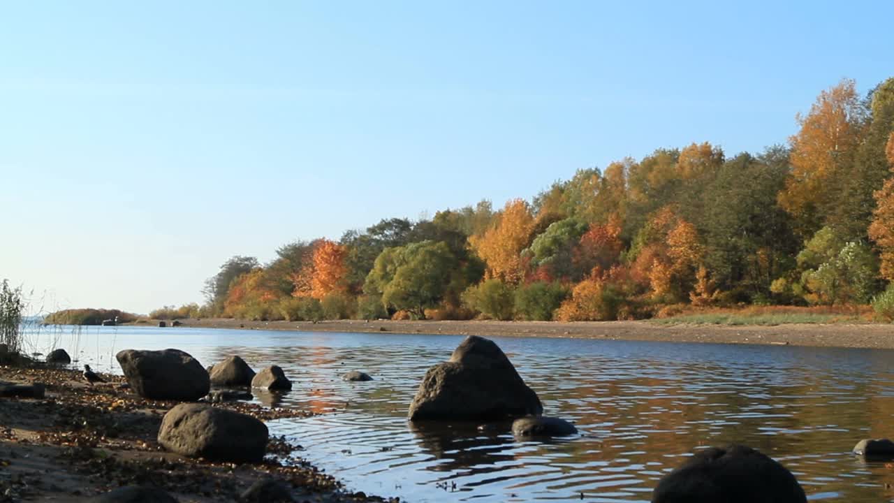 初秋河流风景如画视频素材