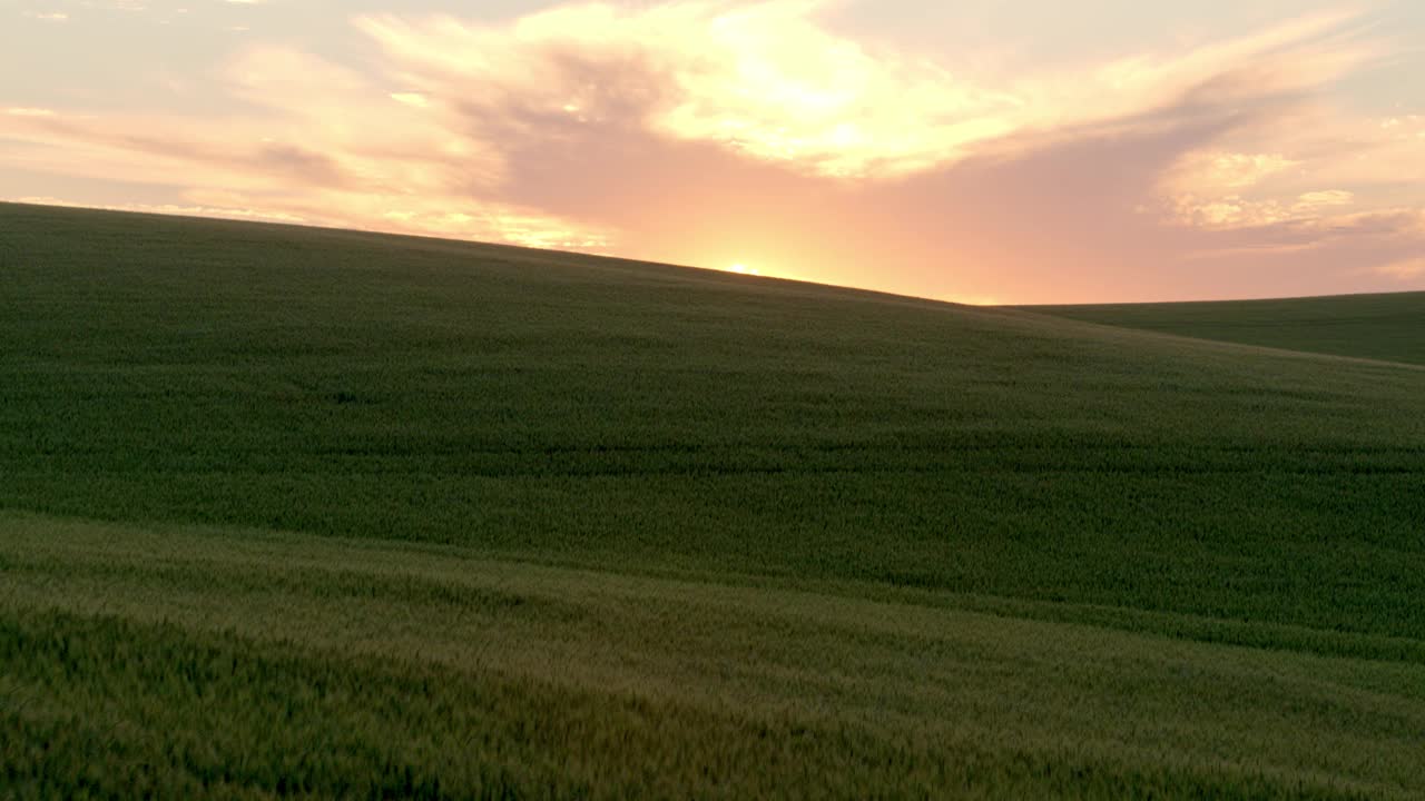 麦田里的夕阳视频素材