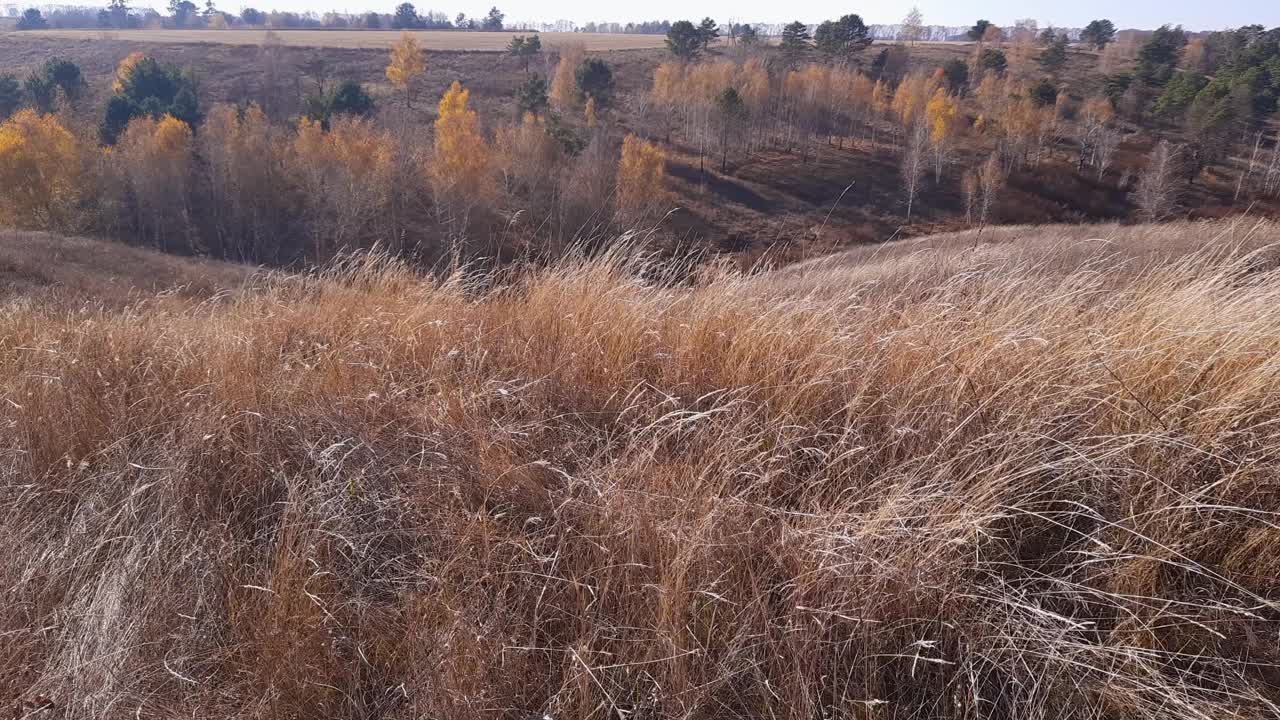 前景中有很少生长的树木和干草的山谷视频素材