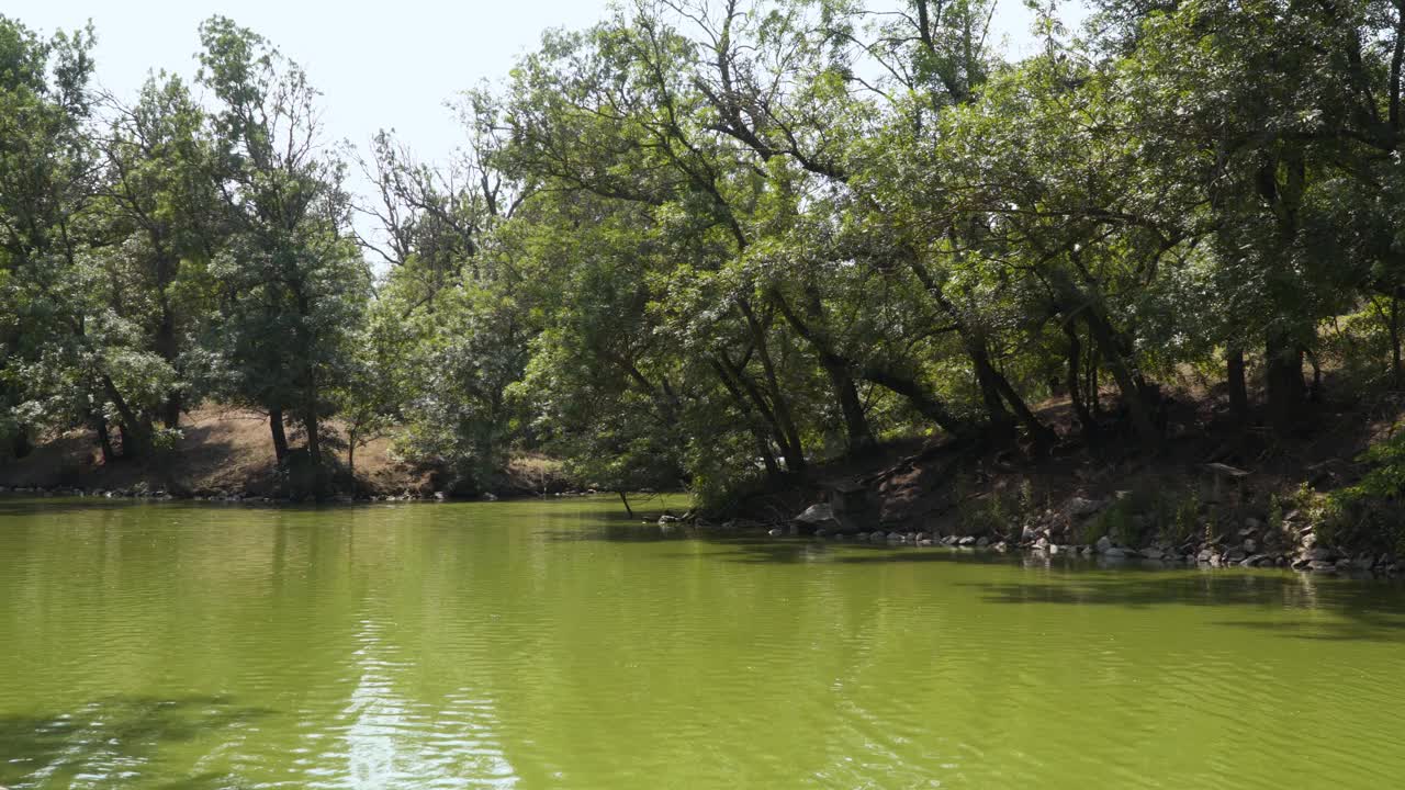 在阳光明媚的日子里，一个风景如画的池塘。视频素材