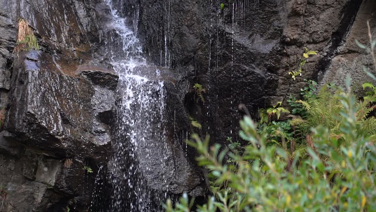 小溪在黑暗的岩石间缓缓流淌。视频素材