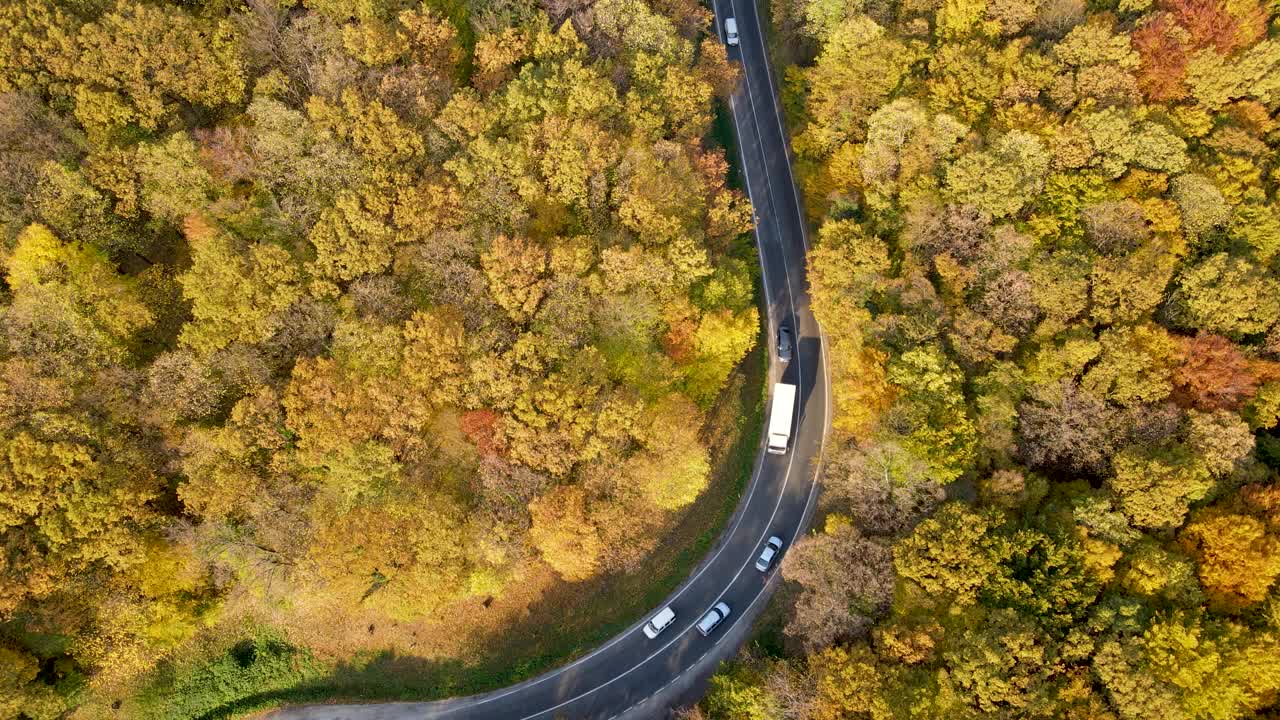 森林边一条繁忙的路视频素材