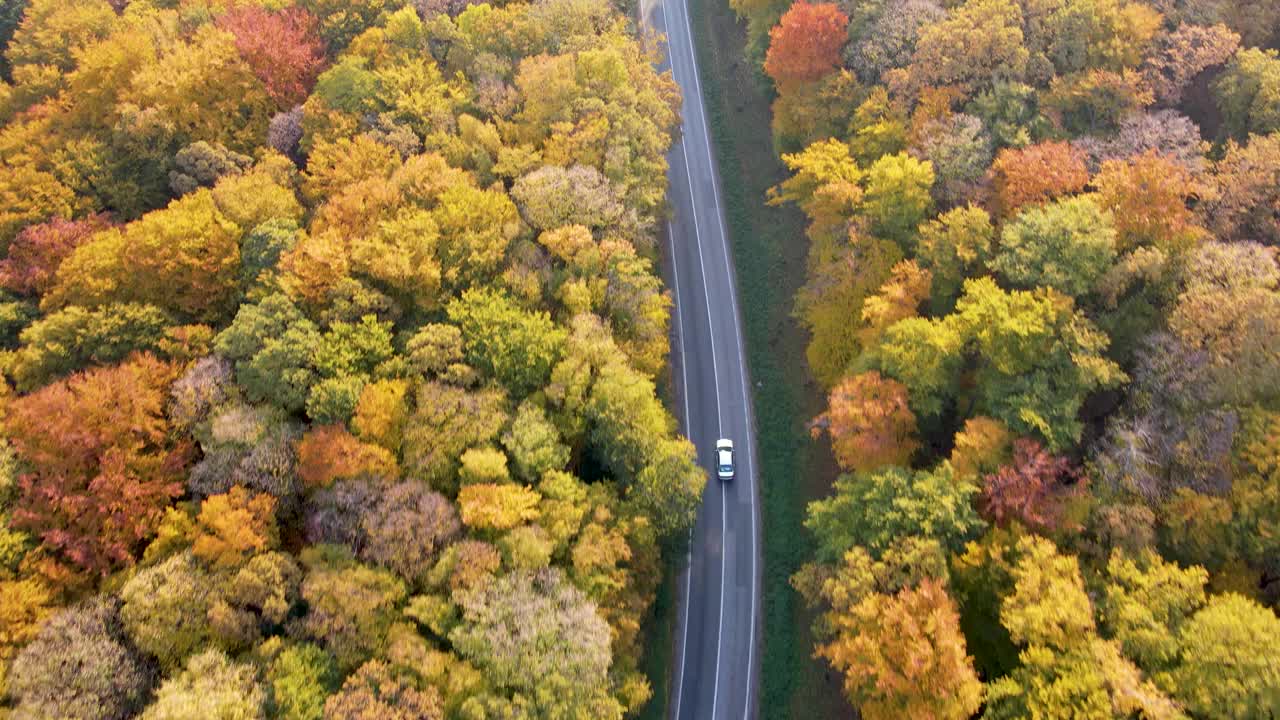 穿越森林的公路旅行视频素材