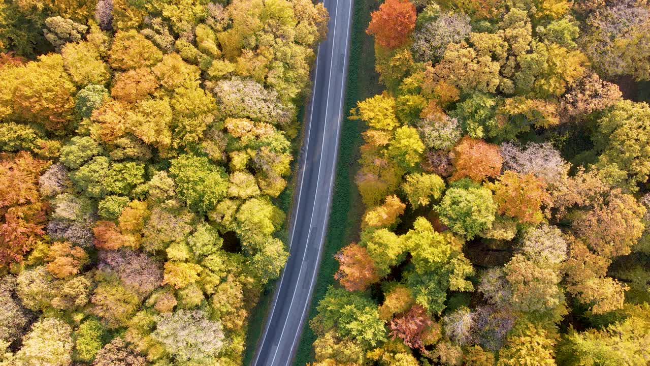 鸟瞰图的森林和重型卡车在路上视频素材