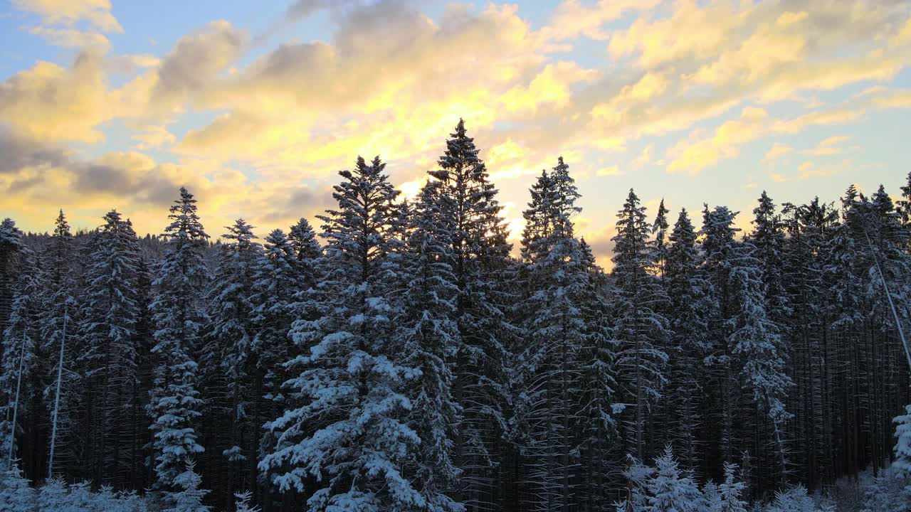 空中冬季景观与云杉树的雪覆盖森林在寒冷的山在晚上视频素材