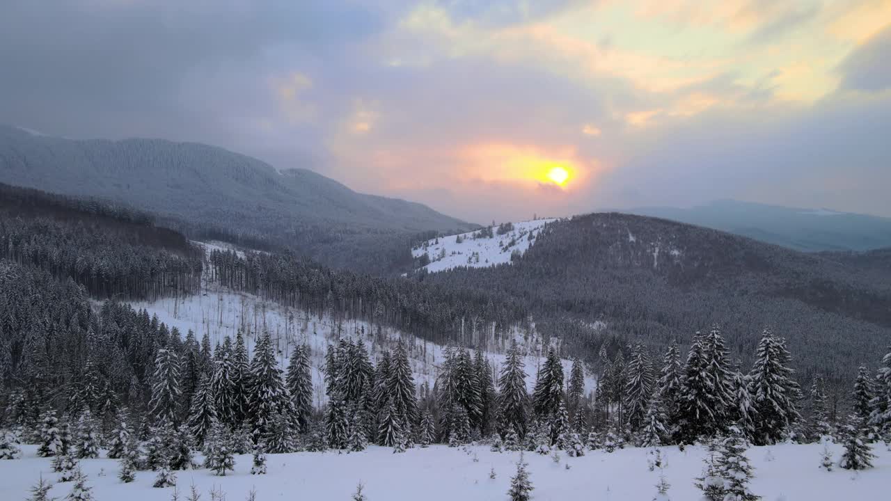 在寒冷宁静的夜晚，冬山森林里，常绿的松树被雪后的新雪覆盖，空中景观视频素材