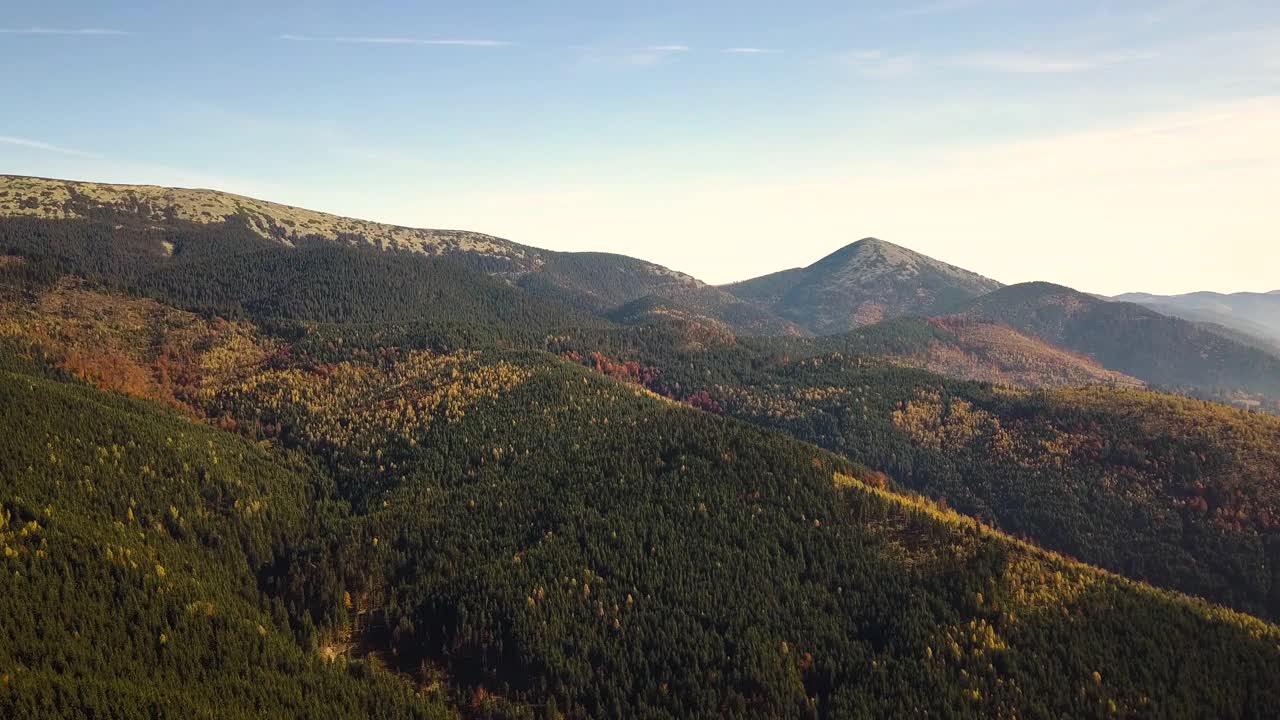 鸟瞰秋天的山景常绿的松树和黄色的秋天森林与雄伟的山脉在远处。视频素材