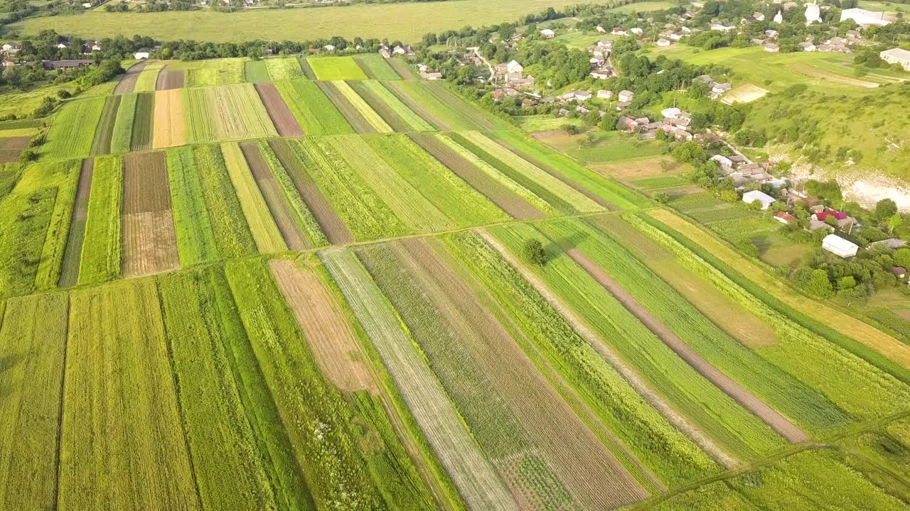 鸟瞰图绿色的农田，在播种季节后新鲜的植被。视频素材