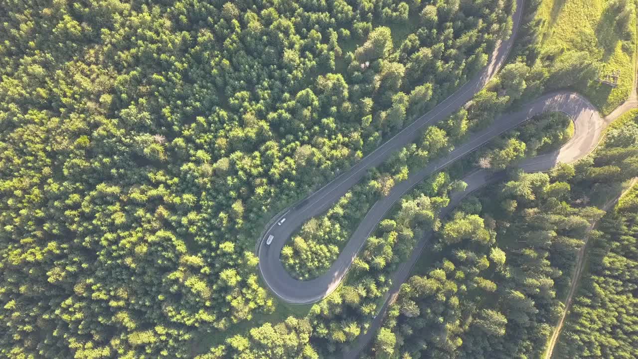 鸟瞰图的蜿蜒的道路与割草汽车和卡车在高山口，槽茂密的树林。视频素材