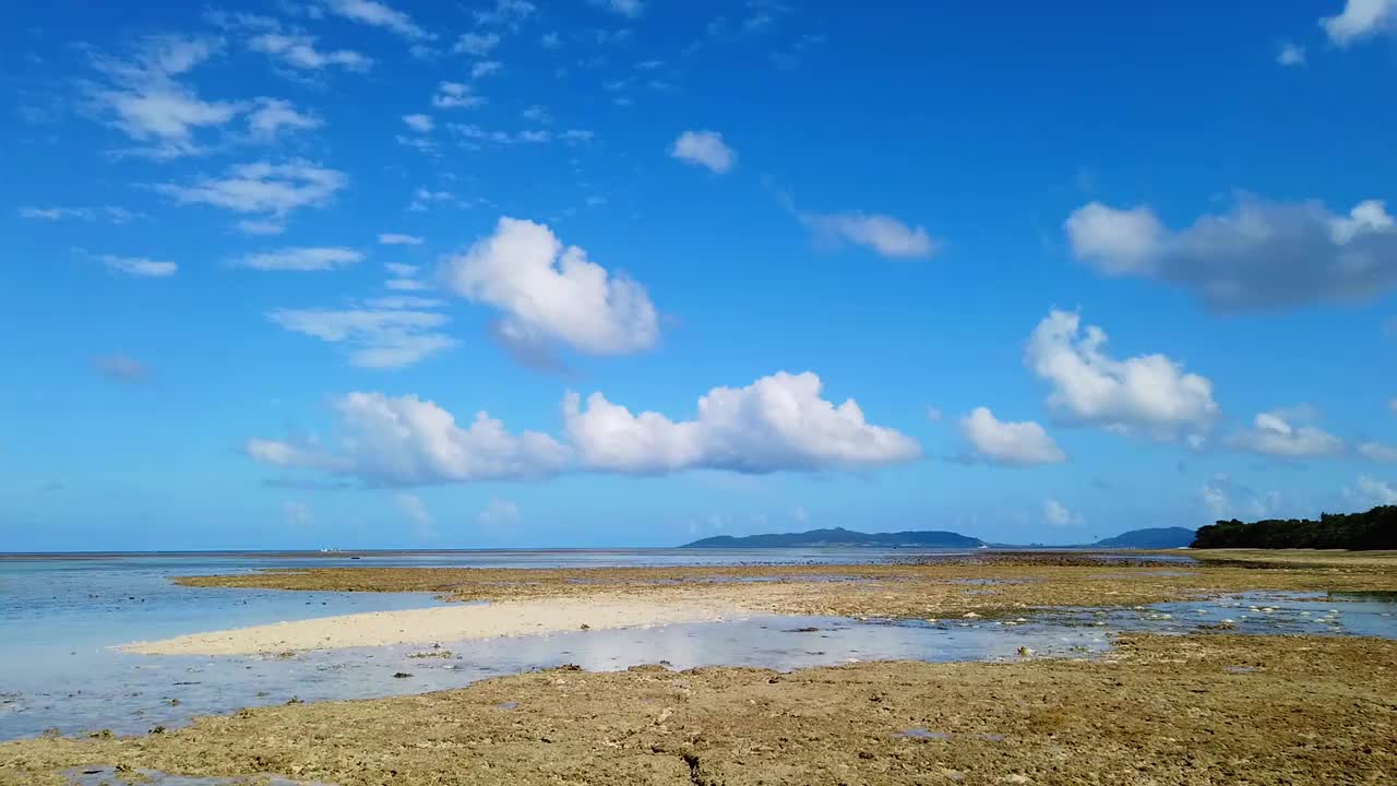 珊瑚礁海洋视频素材