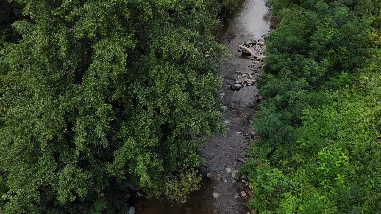 空中拍摄绿色的田野，森林和河流视频素材