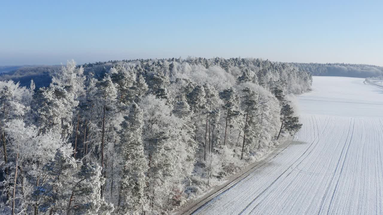 飞越森林与雪，白霜。Frankenhöhe，巴伐利亚，德国。视频素材