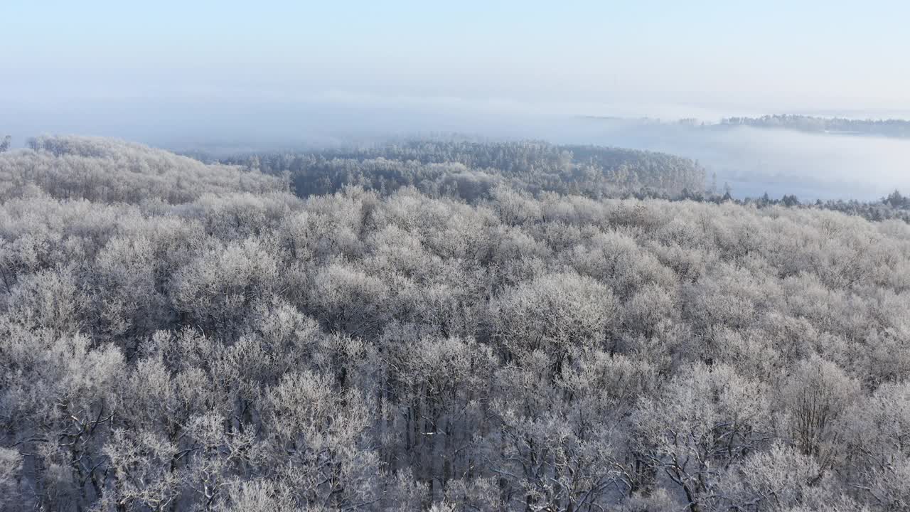 飞越森林与雪，白霜和雾在山谷。Frankenhöhe，巴伐利亚，德国。视频素材