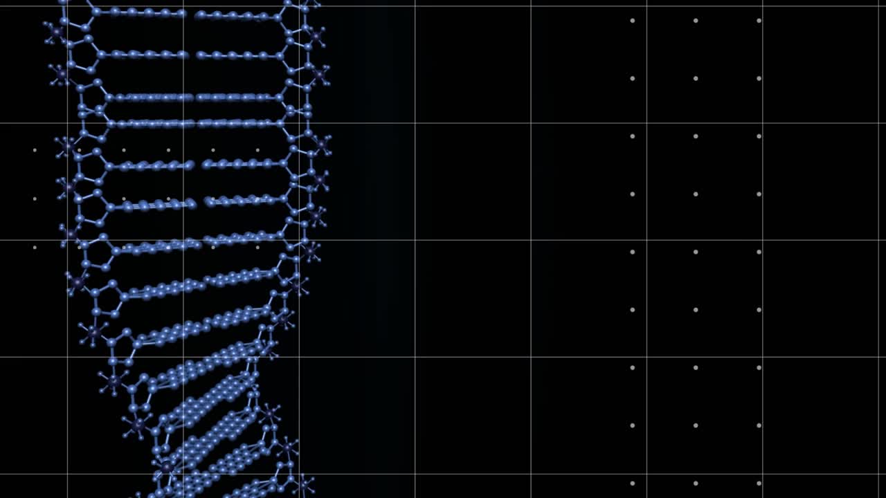 动画蓝色dna链旋转和数据处理在网格上的黑色背景视频素材