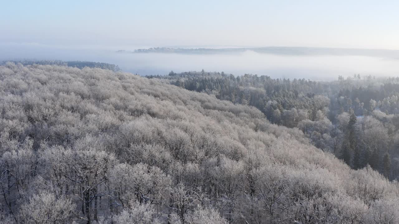 飞越森林与雪，白霜和雾在山谷。Frankenhöhe，巴伐利亚，德国。视频素材