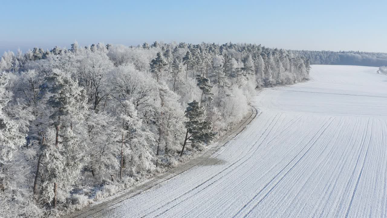 飞越森林与雪，白霜。Frankenhöhe，巴伐利亚，德国。视频素材