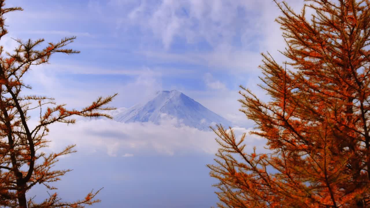 秋天的树木，富士山和随风飘动的白云视频素材