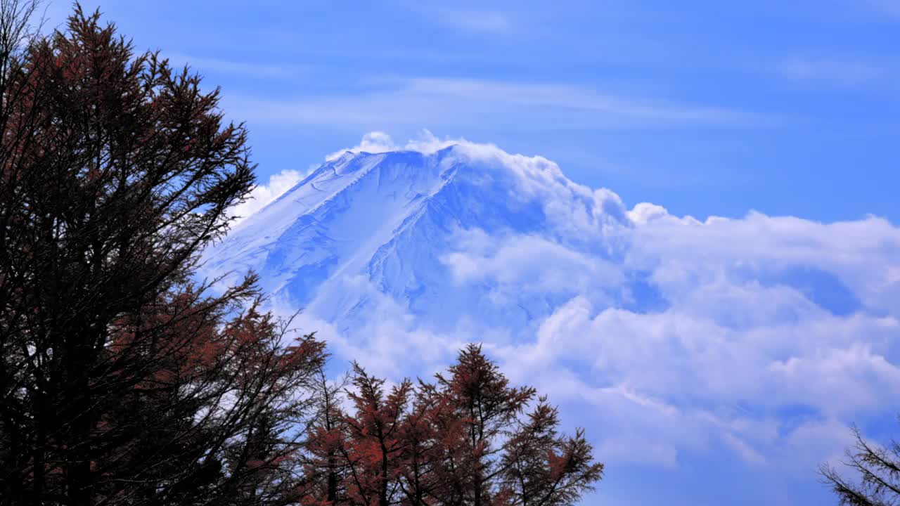 秋天的树木，富士山和随风飘动的白云视频素材