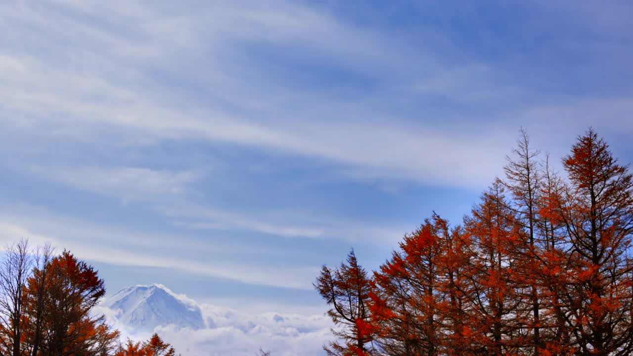 秋天的树木，富士山和随风飘动的白云视频素材