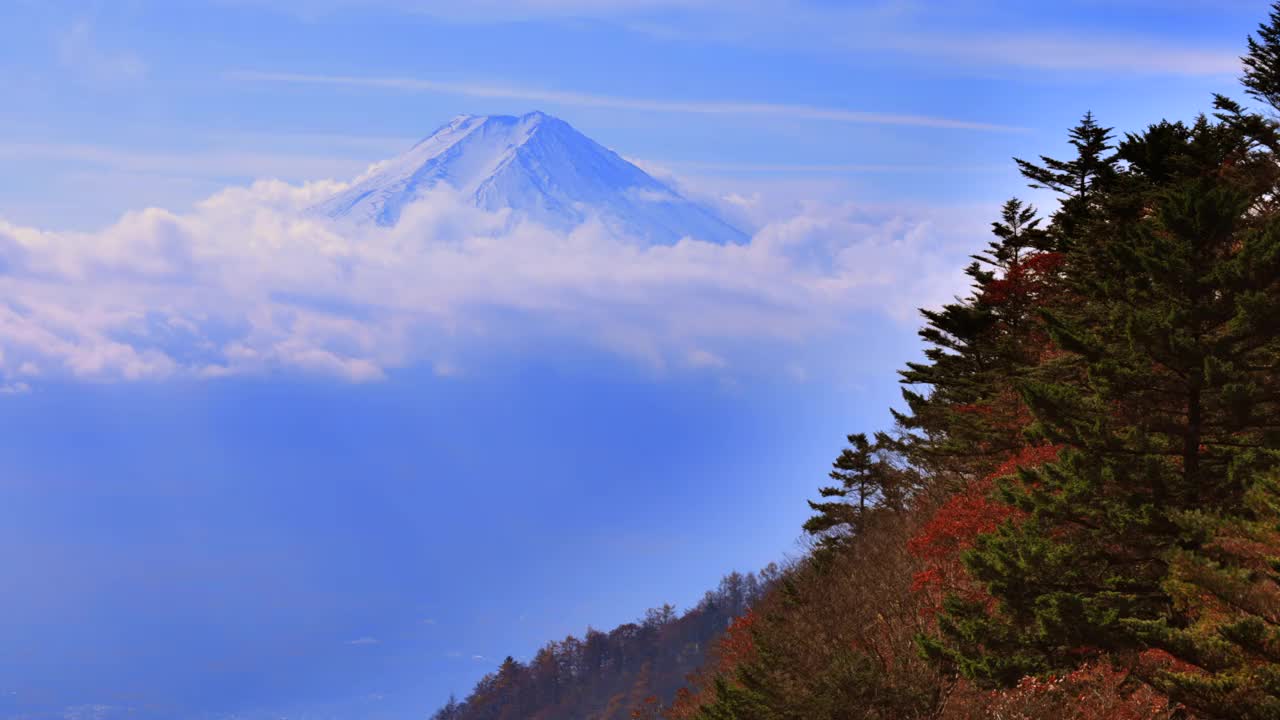 秋天的树木，富士山和随风飘动的白云视频素材