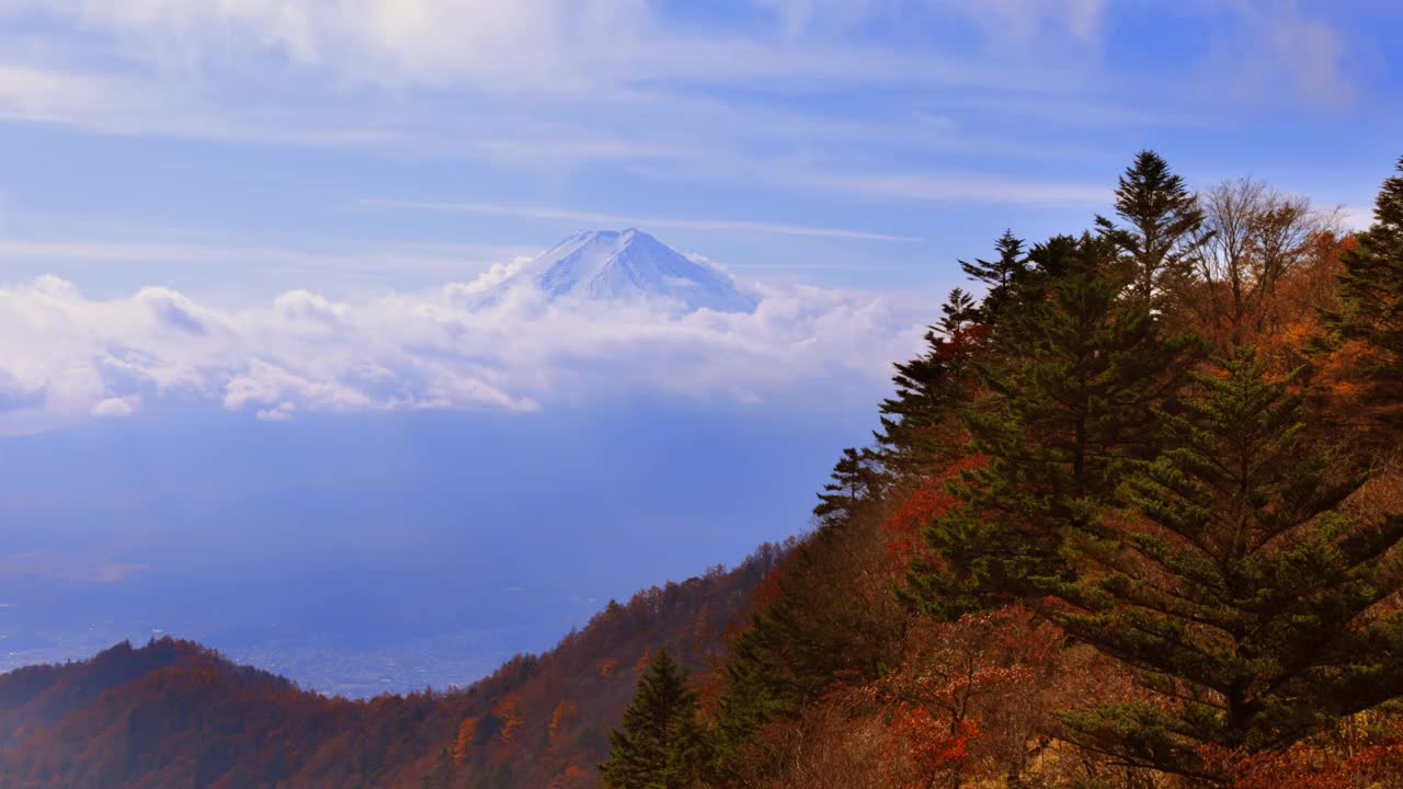 秋天的树木，富士山和随风飘动的白云视频素材