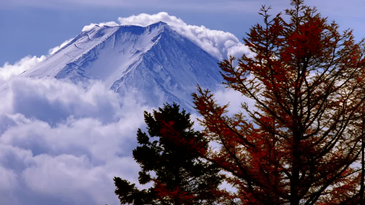 秋天的树木，富士山和随风飘动的白云视频素材