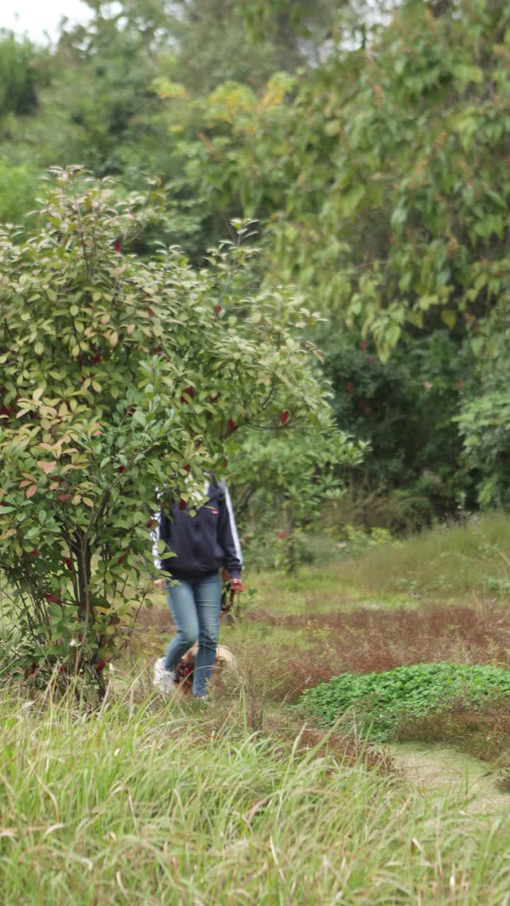 一位亚洲美女带着一只小狗在户外旅行。视频素材