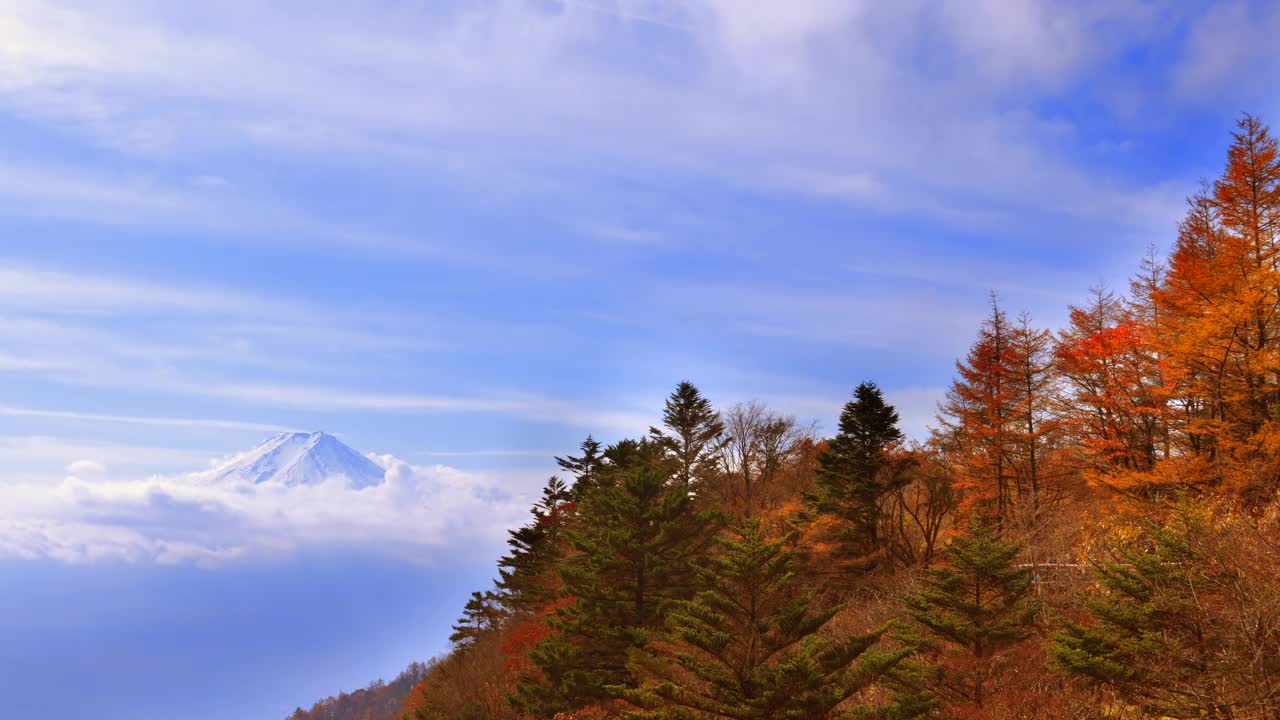 秋天的树木，富士山和随风飘动的白云视频素材