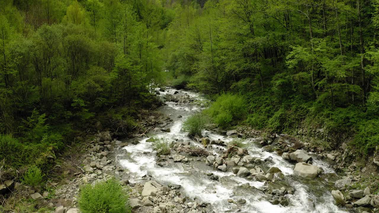 空中俯瞰美丽的河流在绿色森林中，无人机飞越树木-亚平宁山脉，意大利视频素材