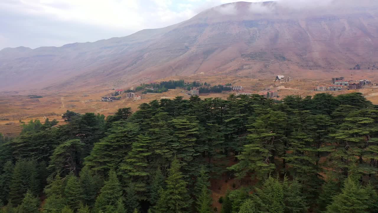 空中摇摄岩石在多云天空下的景色，无人机飞越绿树-巴沙里，黎巴嫩视频素材