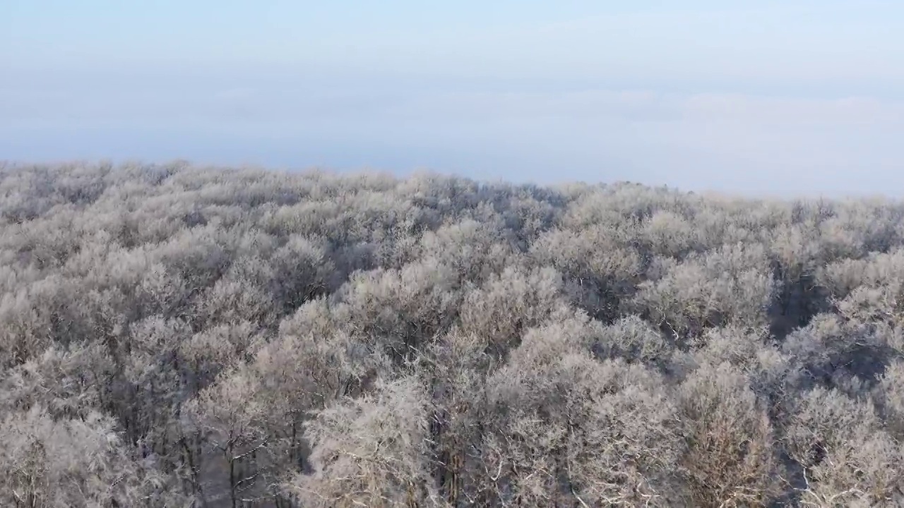 飞越森林与雪，白霜和雾在山谷。Frankenhöhe，巴伐利亚，德国。视频素材