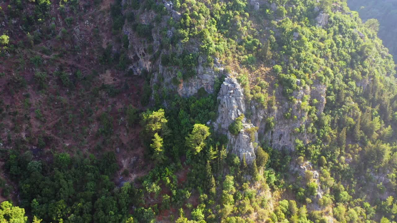 在阳光明媚的日子里，空中平移生长在山上的绿色植物-亚赫丘奇，黎巴嫩视频素材