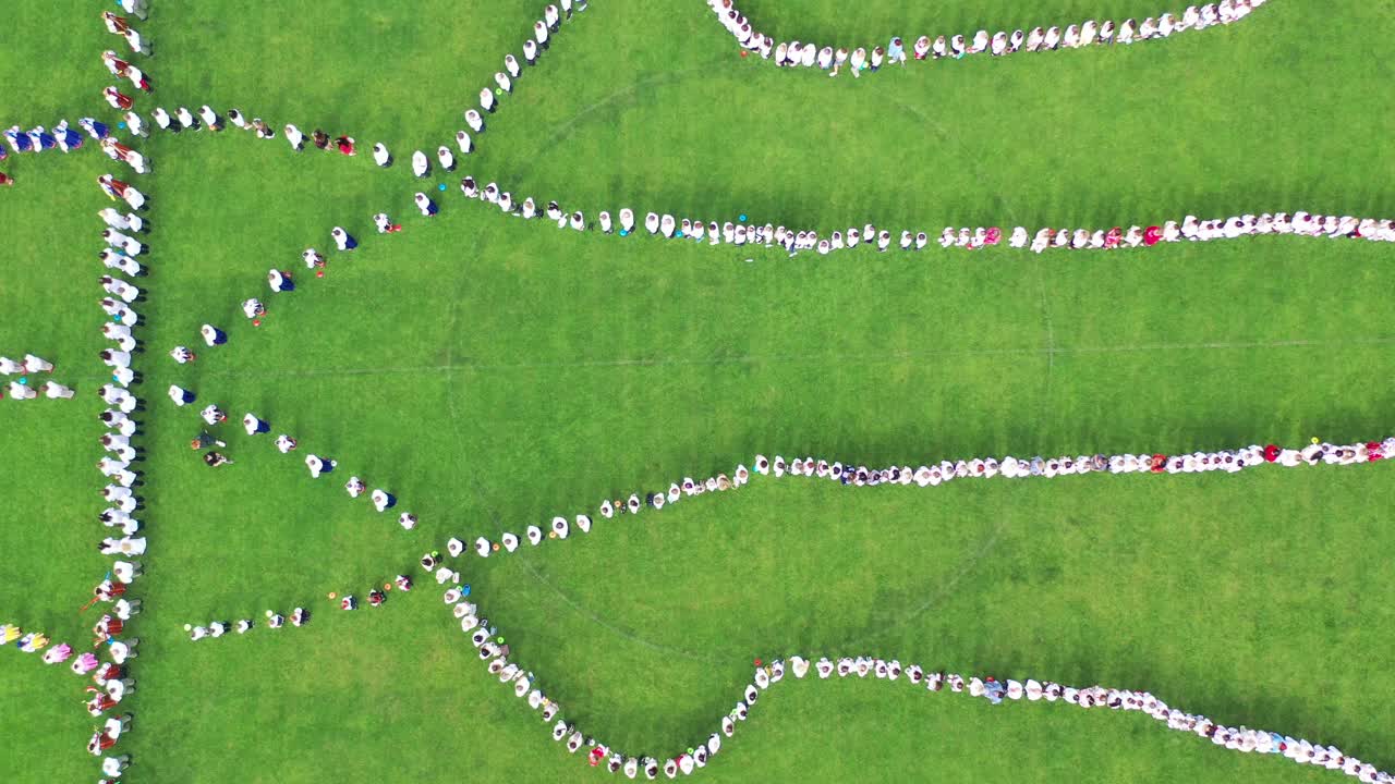 乌克兰的盾形纹章由体育场里的人组成。鸟瞰图，无人机拍摄。乌克兰的独立日。视频素材