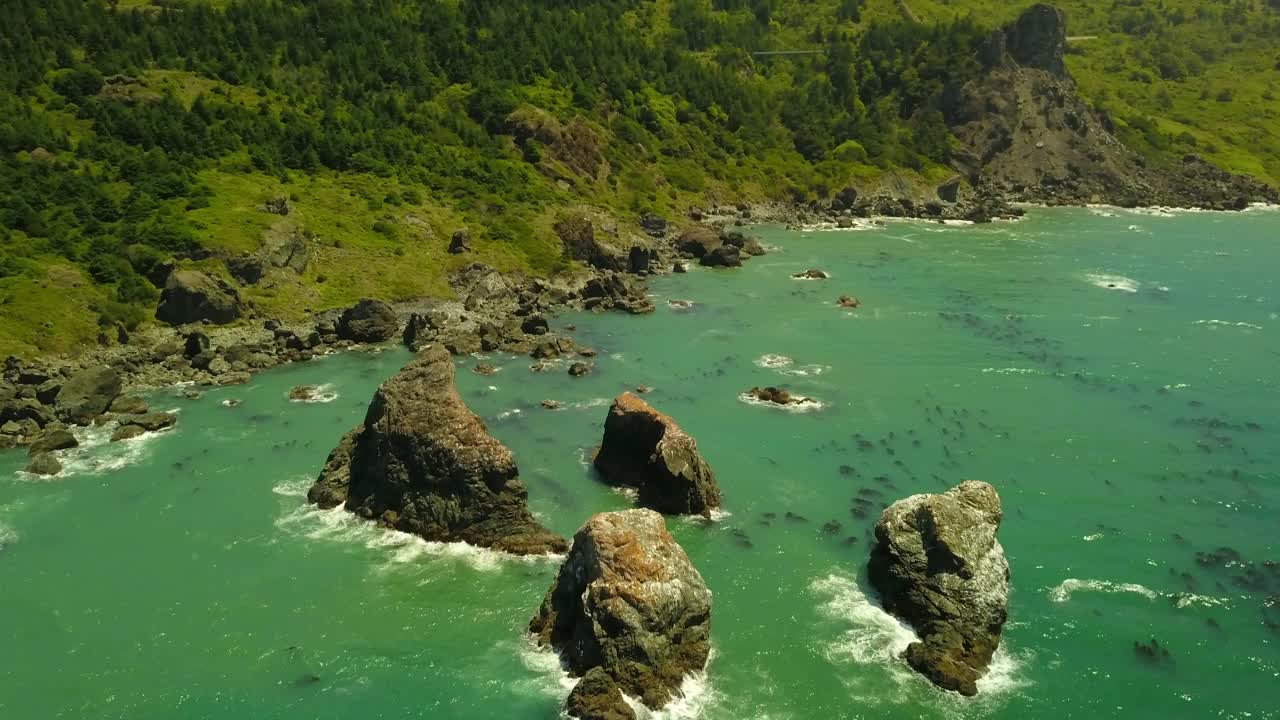 航拍拍摄的岩石在海岸线附近的水下海藻，无人机在阳光明媚的日子飞越海洋-俄勒冈海岸，俄勒冈视频素材