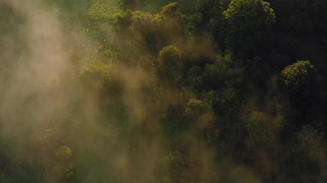 空中山顶，山上绿树的美丽镜头，无人机飞过白云-图林根州，德国视频素材