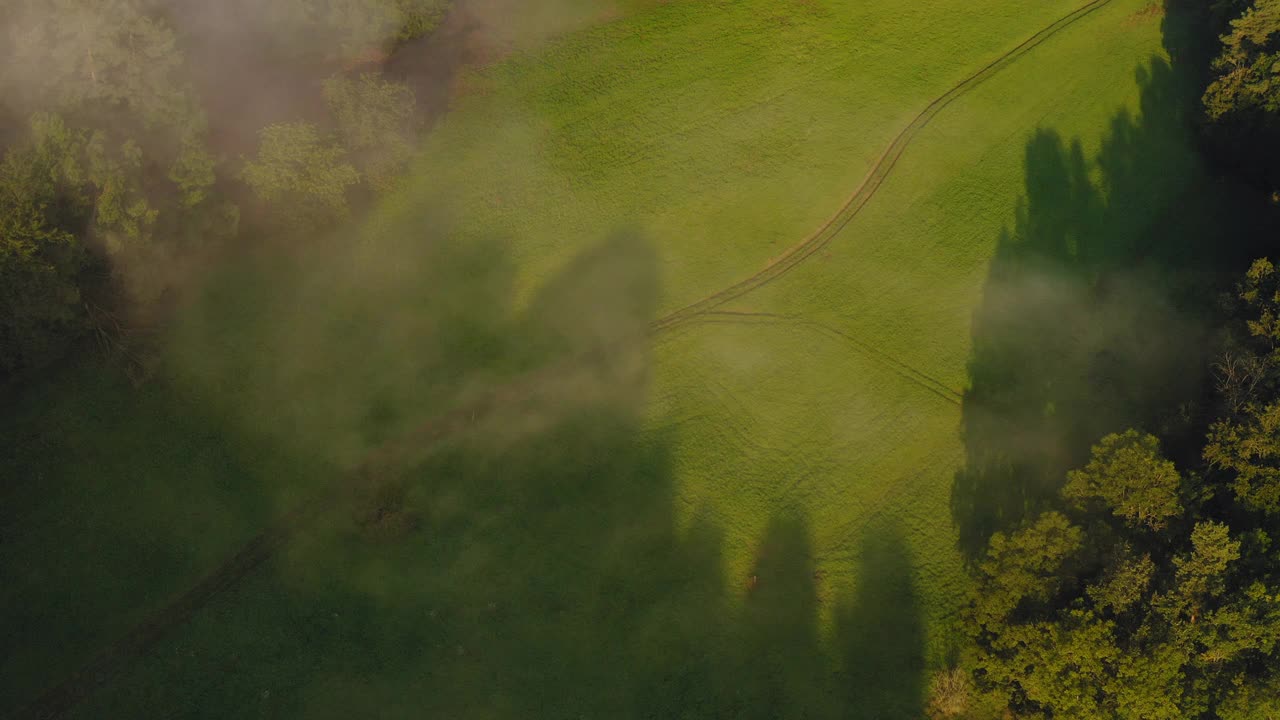 空中摄景山上的绿树，无人机在阳光下飞过风景-图林根州，德国视频素材