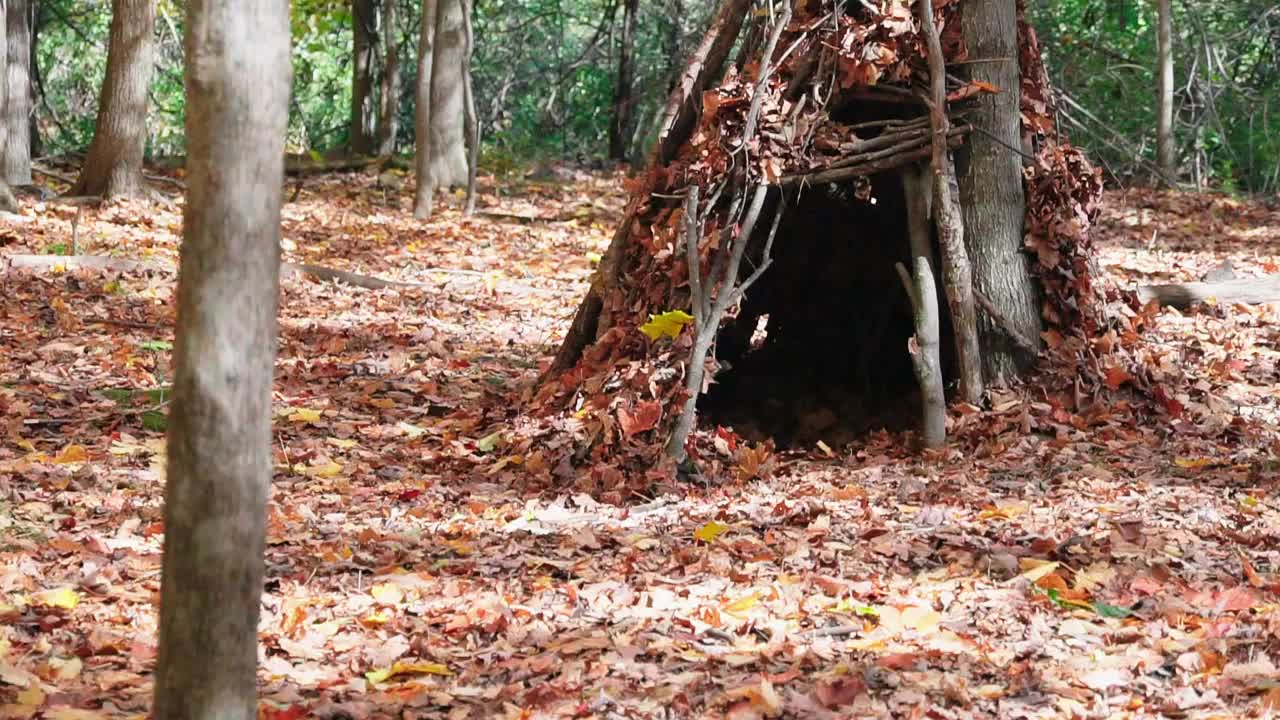 秋日森林里的柴火和一间旧小屋视频素材