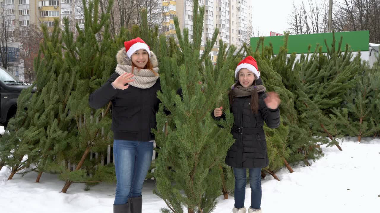 两名戴着圣诞老人帽子的快乐少女站在街头圣诞市场，手里拿着一棵绿色的圣诞树，对着镜头挥手致意。4 k。视频下载