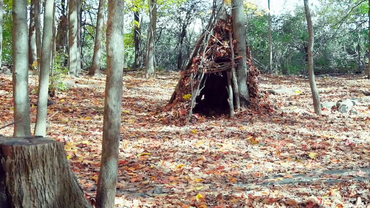 秋天森林边缘的一间旧小屋视频素材