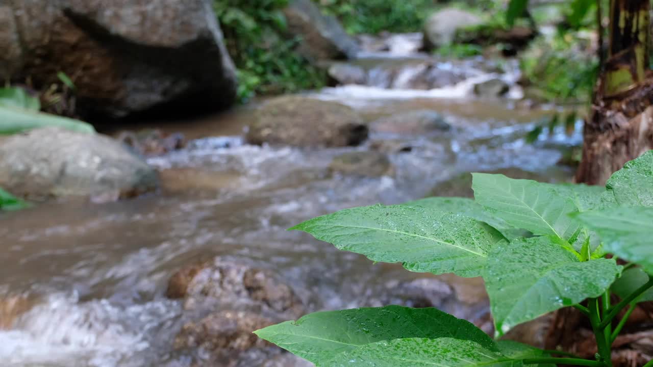 热带丛林中一条美丽的瀑布溪流视频素材