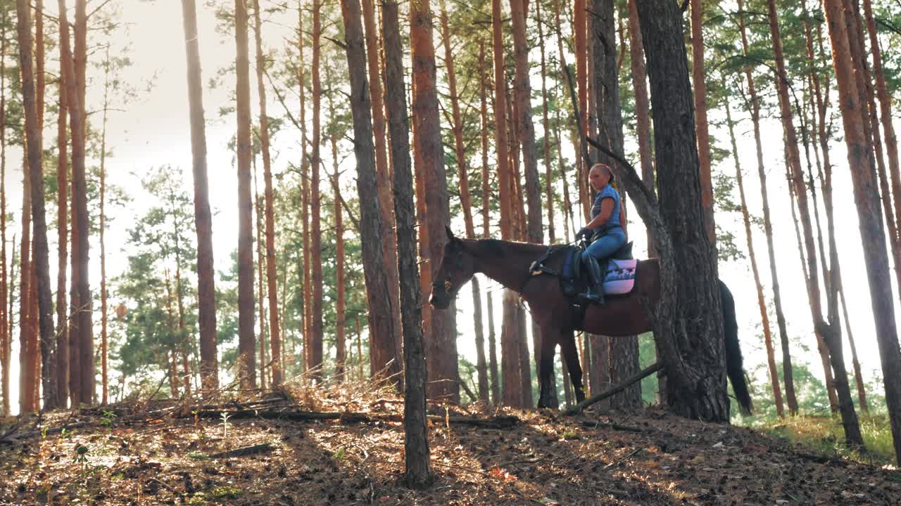 骑马。骑马。年轻女子，骑手骑着棕色的马在森林里，在夏日阳光明媚的日子里，在阳光下视频素材